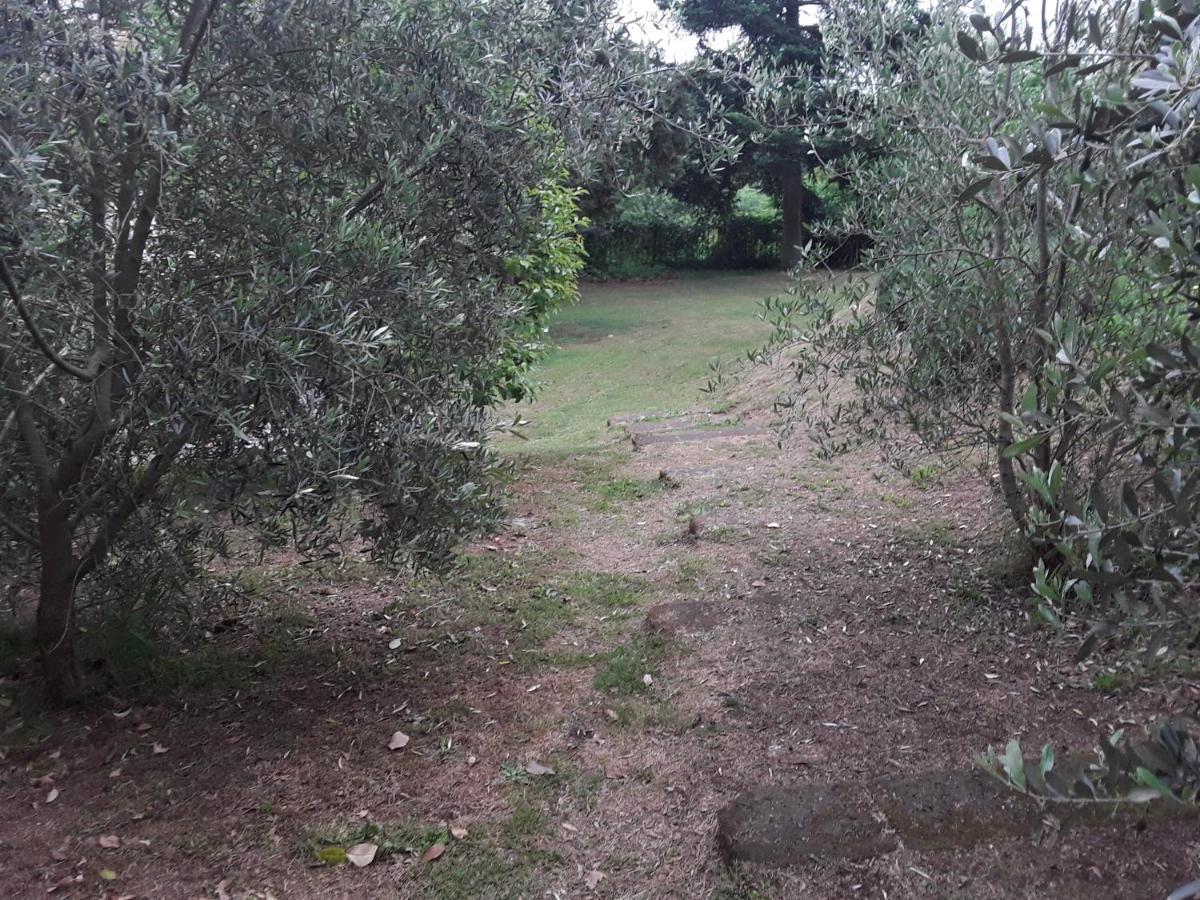 Il Sentiero Villa Acquapendente Exteriör bild